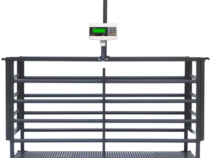 Küçükbaş Hayvan Baskülü TR4